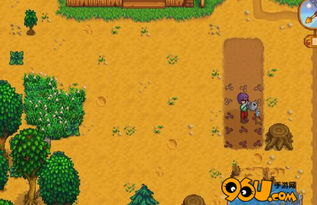 early game money stardew valley,Early Game Money in Stardew Valley: A Comprehensive Guide