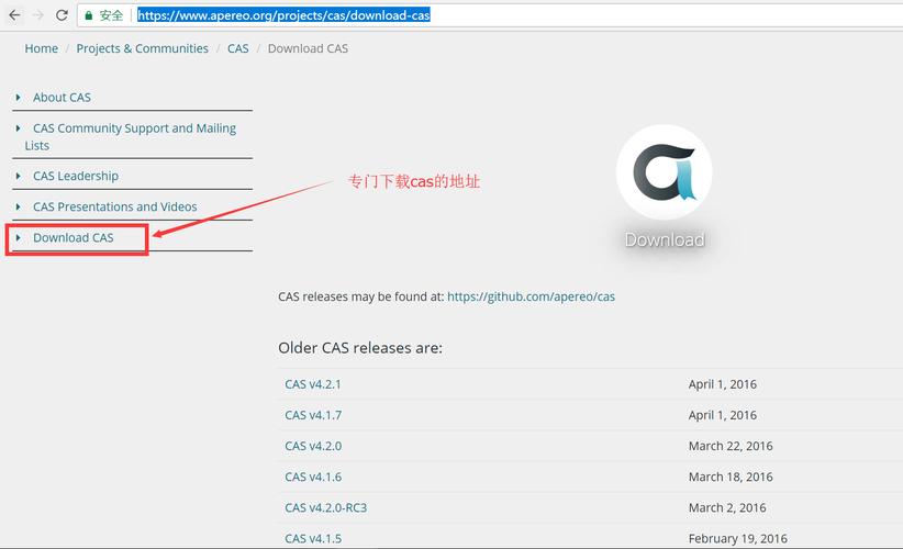 cas?no s?teler?,CAS No. S123456: A Comprehensive Overview